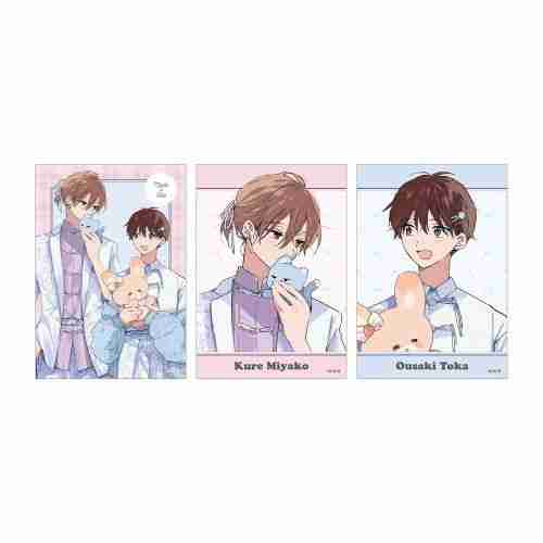 (s)ﾊﾚﾙﾔﾍﾞｲﾋﾞｰ 仔縞楽々先生 描き下ろし ぬい抱っこver. ﾌﾞﾛﾏｲﾄﾞ3枚ｾｯﾄ