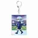 (s)TVｱﾆﾒ『ﾌﾞﾙｰﾛｯｸ』 氷織 羊 ちびとこ ｱｸﾘﾙｷｰﾎﾙﾀﾞｰ