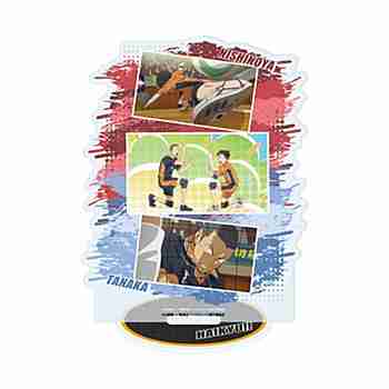 (s)ｱｸﾘﾙｽﾀﾝﾄﾞ｢ﾊｲｷｭｰ!!｣07/西谷 夕･田中龍之介(場面写)