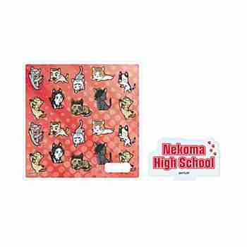 (s)ｱｸﾘﾙｺｰｽﾀｰｽﾀﾝﾄﾞ｢ﾊｲｷｭｰ!!｣08/ﾈｺﾏﾈｺ