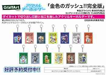 (s)ｱｸﾘﾙｷｰﾎﾙﾀﾞｰ 金色のｶﾞｯｼｭ!! 完全版 03 ｸﾞﾗﾌｱｰﾄｲﾗｽﾄ